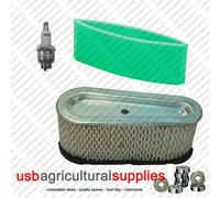 BRIGGS & STRATTON AIR FILTER KIT BS496894S 272403S RJ19LM NEXT DAY DELIVERY 12.5