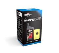 Briggs & Stratton Engine Service Kit 450E 550E Series 992231