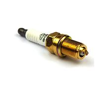 Briggs & Stratton OEM 5066K Replacement pro sr Plug-Spark