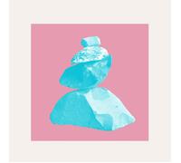 Bright and Findlay Everything Is Slow LP Vinyl NEW