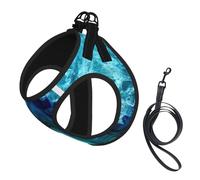 Bright Aqua Blue Turquoise Print Harness Leash Set For Cats And Dogs, Reflective Adjustable, Soft Breathable Mesh Vest With Escape-Proof Lead, For Small Pets And Kitten Puppies