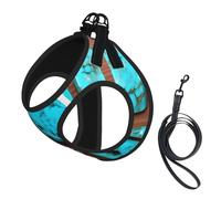 Bright Aqua Blue Turquoise Print Small Dog Harness with Leash Set, No Escape Easy Walk Puppy Harnesses for Training Walking