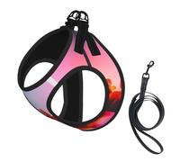 Bright Beautiful Colorful Art print Dog Harness and Leash Set, Reflective Adjustable Puppy Vest for Small Medium Large Dogs, Cats