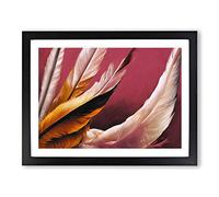 Bright Bird Feathers Framed Print | A4 Black Framed Wall Art | Ready to Hang | Modern Nature Picture | Living Room Bedroom Lounge Office