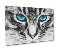 Bright Blue Cat Eyes Canvas Print | Gallery Wrapped 30mm Frame Wall Art | 20x14 inches | Ready to Hang | Modern Animals Picture | Living Room Bedroom Lounge Office