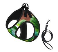 Bright Cabbage print Dog Harness and Leash Set, Reflective Adjustable Puppy Vest for Small Medium Large Dogs, Cats
