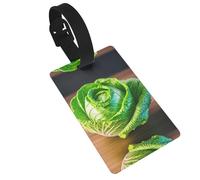 Bright Cabbage Printed Small Luggage Tags Portable Bag ID Holders with Adjustable Strap for Travel Gear