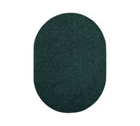 Bright House Solid Color Area Rugs Forest Green - 4' x 6' Oval, Indoor, Stain & Fade Resistant, Perfect for Living Room, Bedroom, Dining Room, Entryway, Doorway, Pet & Kids Friendly Rug, Wedding