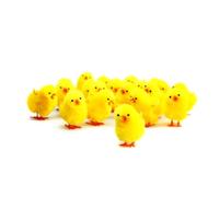 Bright Ideas 36PCS Mini Yellow 3cm Fluffy Chicks, Perfect for Easter Crafting, DIY Arts and Crafts Party Decoration and Cake Toppers