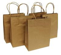 Bright Ideas Kraft Bags. Small Bag Size: 18cm x 8cm x 23cm, Pack of 5. Brown Kraft Paper Gift Bags with Twisted Handles, Ideal for Packaging, Shopping, Party gifts or decorating. BI4009