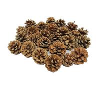 Bright Ideas Natural Pine Cones PK25 4-6cm Ideal for Kids' Arts and Crafts, Christmas, Sensory Stimulation, Festival Party and Festival Decortaion Props for Craft. BI8401.