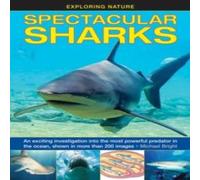 Bright Michael Exploring Nature: Spectacular Sharks Book Bright Michael Multicolor