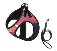 Bright Moon at Sea Hippie Print Small Dog Harness with Leash Set, No Escape Easy Walk Puppy Harnesses for Training Walking