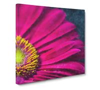 Bright Pink Gerbera Flower Canvas Print | Gallery Wrapped 30mm Frame Wall Art | 14x14 inches | Ready to Hang | Abstract Floral Picture | Living Room Bedroom Lounge Office