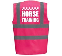 Bright Pink High Visibility Vest with White HORSE TRAINING - HORSE RIDING By Brook Hi Vis Large