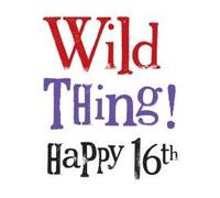 Bright Side Card By Rachel Bright - Wild Things Happy 16th - NEW IN CELLO (BS 152)
