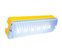 Bright Source 4.5W 110V Ip65 Led Bulkhead - Emergency