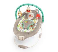 Bright Starts, Disney Baby, Winnie The Pooh Rocker with Vibrations, Automatic Off Function, Melodies, Volume Control, Removable Headrest and Play Arch, 1 Piece (Pack of 1)
