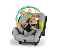 Bright Starts Flex And Go Toy Arch