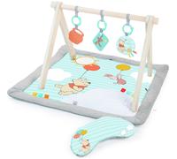 Bright Starts Winnie The Pooh Activity Gym and Play Arch