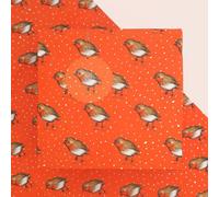 Bright Stem Robin Christmas Wrapping Paper, Designer Hand Illustrated Pattern 6 Sheets, 12 tags Recyclable (orange)