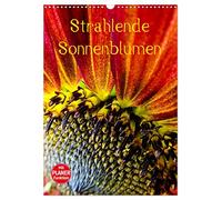 Bright sunflowers UK-Version (Wall Calendar 2026 DIN A3 Portrait), CALVENDO 12 Month Wall Calendar