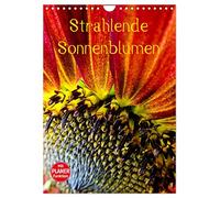 Bright sunflowers UK-Version (Wall Calendar 2026 DIN A4 Portrait), CALVENDO 12 Month Wall Calendar