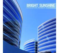 BRIGHT SUNSHINE - EXECUTIVE POWER SUPREME [VINYL]