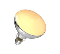 BrightArk 250W Food Heat lamp Bulb - E27 Serving lamp for Hanging, 230V Warming for Stainless Steel Fixtures