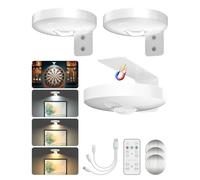 BrightArk Rechargeable Wall Lights for Pictures with Remote Control, 3 Colors Dimmable Battery Operated Art Painting Light with Timer, Rechargeable Dart Board Light, 3 Packs