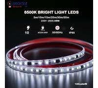 Brightex LED Brightex 20M Smd Led Strip Light White 220V Flexible Super Bright Ip65 Led Tape With Connector For Indoor & Outdoor