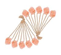 BRIGHTFUFU 10pcs Natural Pink Salt Blocks for Deer Horses Livestock Weatherproof Mineral Licks with Pre-drilled Holes for Hanging Outdoor Wildlife Feeding Supplies for Guinea Pigs Goats