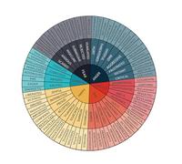 BRIGHTFUFU Emotion Wheel Laptop Sticker Self Adhesive Decorative Decal for Classroom Emotional Awareness Teaching Office Wall Chart for Positive Feeling Education and Interactive Use