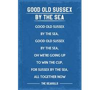 Brighton and Hove albion fans song art print size A4