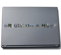 Brighton & Hove Laptop Sticker Laptop Skin 210 mm with sights