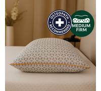 Brightr Sleep Luna Best Memory Foam Pillow for Neck Pain & Side Sleepers in Grey Brightr Sleep Grey