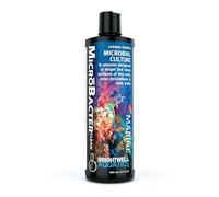 Brightwell Aquatics Microbacter CLEAN 500ml