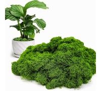 Briking Fake Moss, 50g Artificial Moss artificial Mo ss for Indoor Plant Pots for Indoor Plant Pots Room Balcony Garden Landscaping Crafts Decor Model Making Patio Floristry and More (Dark Green)