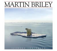 Briley, Martin - Iceberg Shrinking