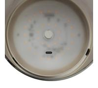 Brilliant LED table lamp Lumeo, Ø 13 cm, brass-coloured/smoke grey