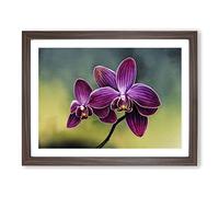 Brilliant Orchid Flowers Framed Print | A3 Walnut Framed Wall Art | Ready to Hang | Modern Floral Picture | Living Room Bedroom Lounge Office