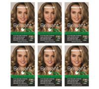 Brilliant Ten DARK BLONDE - Permanent Hair Colour | Vegan | Against Animal Testing | Long Lasting | 10 Minutes Technology- 6 pack