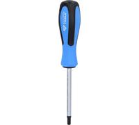 BRILLIANT TOOLS BT031042 Torx Screwdriver T40 x 100 mm [Powered by KS Tools]