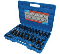 Brilliant Tools BT511100 Plug Unlocking Tool Set 23-Piece Universa...