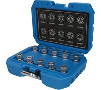 BRILLIANT TOOLS BT691290 Rim Lock Assortment | for BMW | 10 Pieces [Powered by KS Tools]