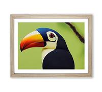 Brilliant Toucan Bird H1022 WHT Framed Print for Living Room Bedroom Home Office Décor, Wall Art Picture Ready to Hang, Oak A4 Frame (34 x 25 cm)