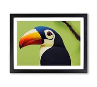 Brilliant Toucan Bird WHT Framed Wall Art Print A2 Black