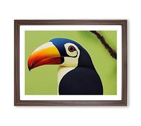 Brilliant Toucan Bird WHT Framed Wall Art Print A2 Walnut