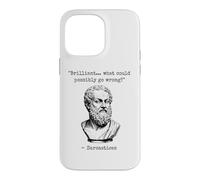 Brilliant What Could Possibly Go Wrong Sarcasm Philosophy Case for iPhone 14 Pro Max
