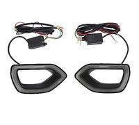 Brilluxa Upper Grille Bezel, LED Light Housing, Front Grille Lamp Assembly, Compatible With Dodge Scat Pack, Smoked Black Lens Replacement 68417504AB